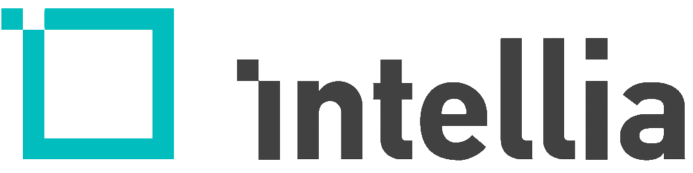 Project Manager - Intellia ICT